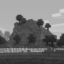 Server favicon of 84t.org:25544